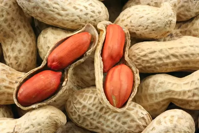 cacahuètes pour la puissance