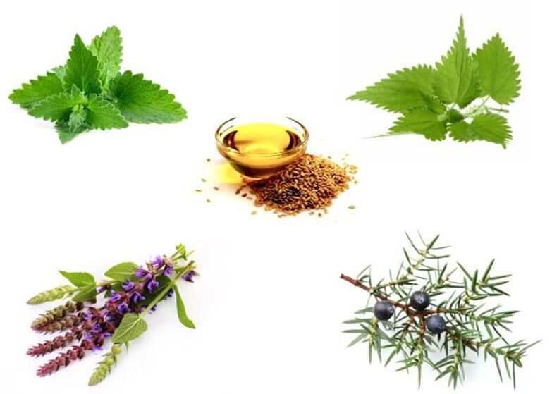 Menthe, ortie, thym, genévrier et huile de lin