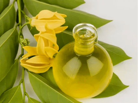 Aromathérapie pour améliorer la puissance